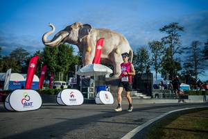 BIB: 
                            <button type="button" onclick="openModal(26541673)" class="btn btn-primary btn-sm float-right btn-popup" data-toggle="modal" data-target=".modal-high-quality">
                        <i class="fas fa-shopping-cart"></i> Add to Cart
                    </button>
                                            <button type="button" onclick="isThisMe(26541673, true)" class="btn btn-success btn-sm float-right btn-popup btn-isme hidden" data-toggle="tooltip" data-placement="bottom" title="นี่คือรูปของคุณใช่ไหม คลิกที่นี่เพื่อเอาเข้าอัลบั้ม">
                        <i class="fas fa-plus"></i> Add to album
                    </button>
                    <button type="button" onclick="isThisMe(26541673, false)" class="btn btn-warning btn-sm float-right btn-popup btn-isnotme hidden">
                        <i class="fas fa-ban"></i> Remove from album
                    </button>